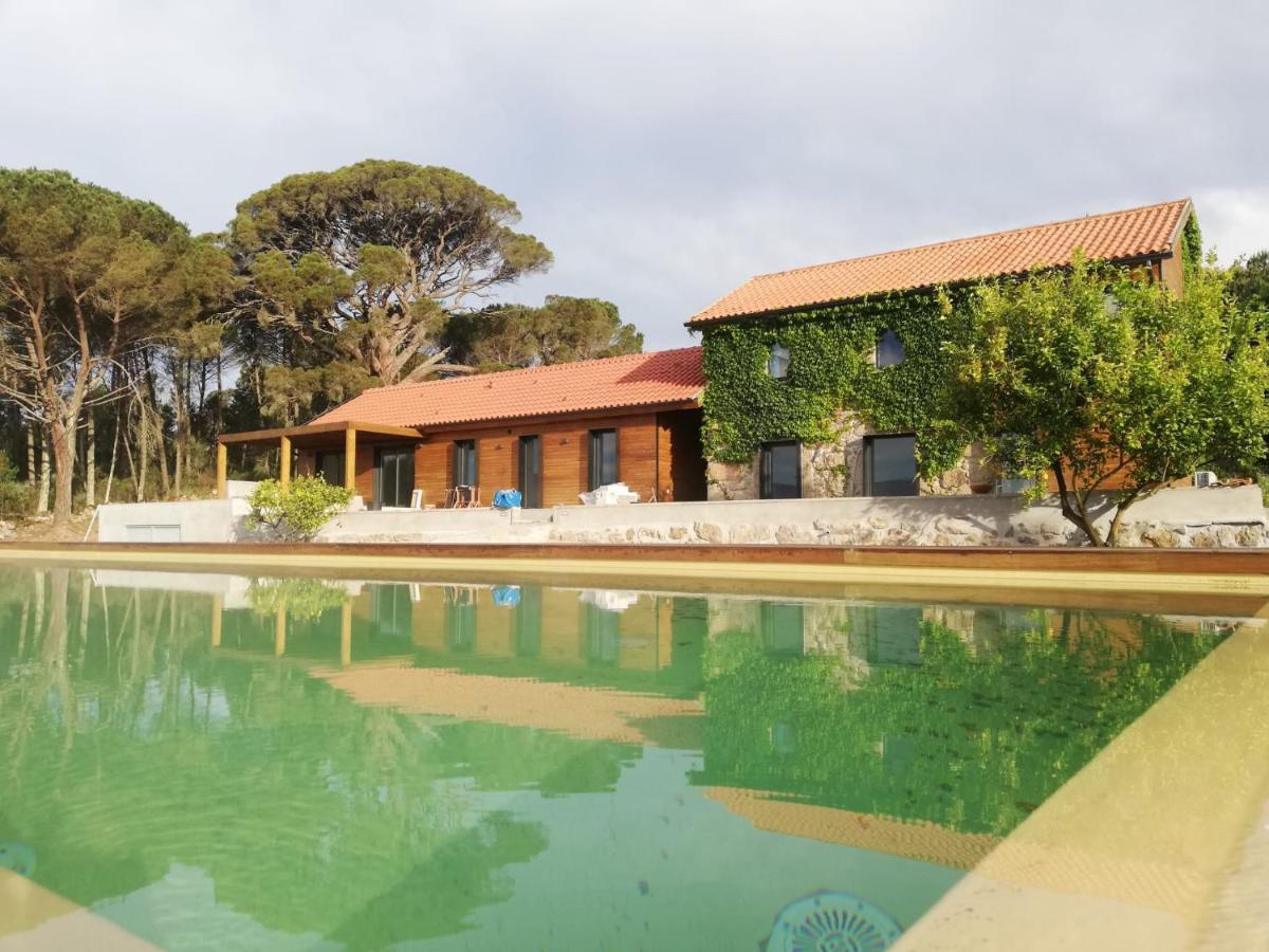 Casas Do Pinheiro Grande Villa Fornos de Algodres Kültér fotó