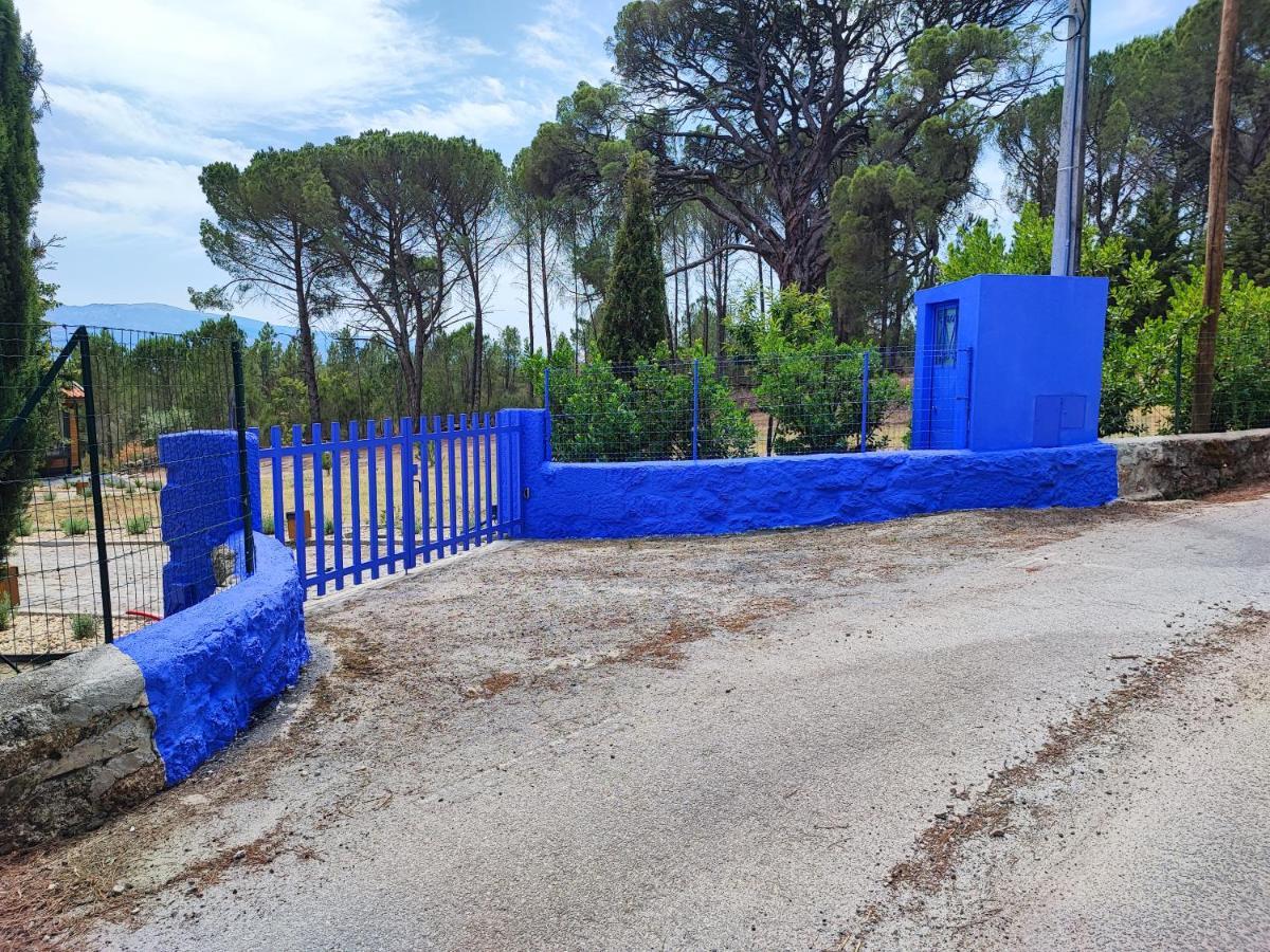 Casas Do Pinheiro Grande Villa Fornos de Algodres Kültér fotó