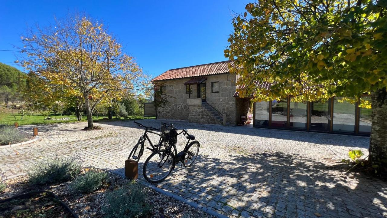 Casas Do Pinheiro Grande Villa Fornos de Algodres Kültér fotó