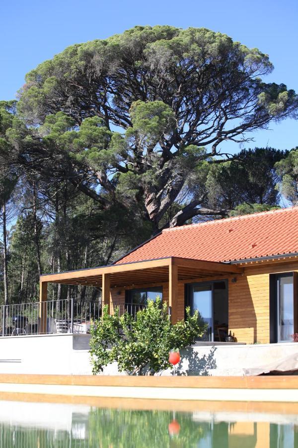 Casas Do Pinheiro Grande Villa Fornos de Algodres Kültér fotó